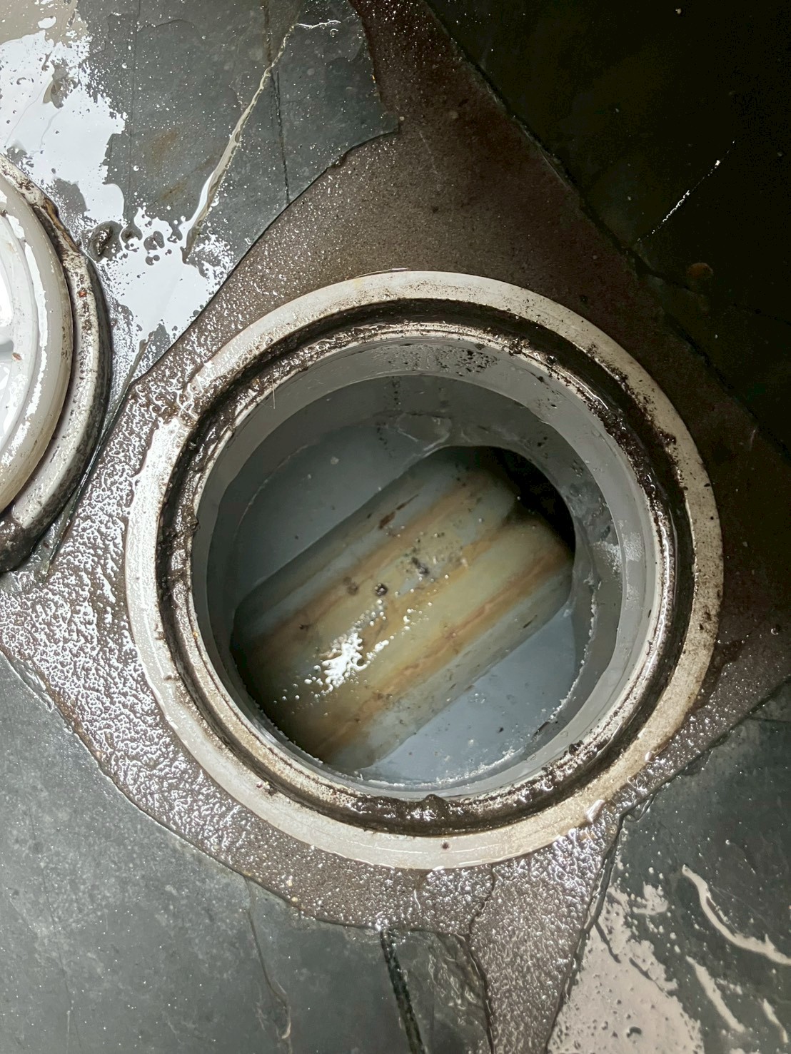 屋外排水桝の内部。円形の排水管開口部に白〜茶色の油脂・食材カスが固形化して詰まっている状態