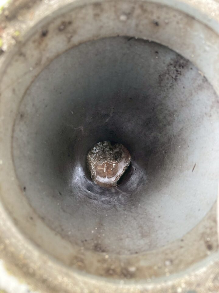 屋外排水管内部の上から撮影。管の半分以上が油脂塊で詰まっている状態