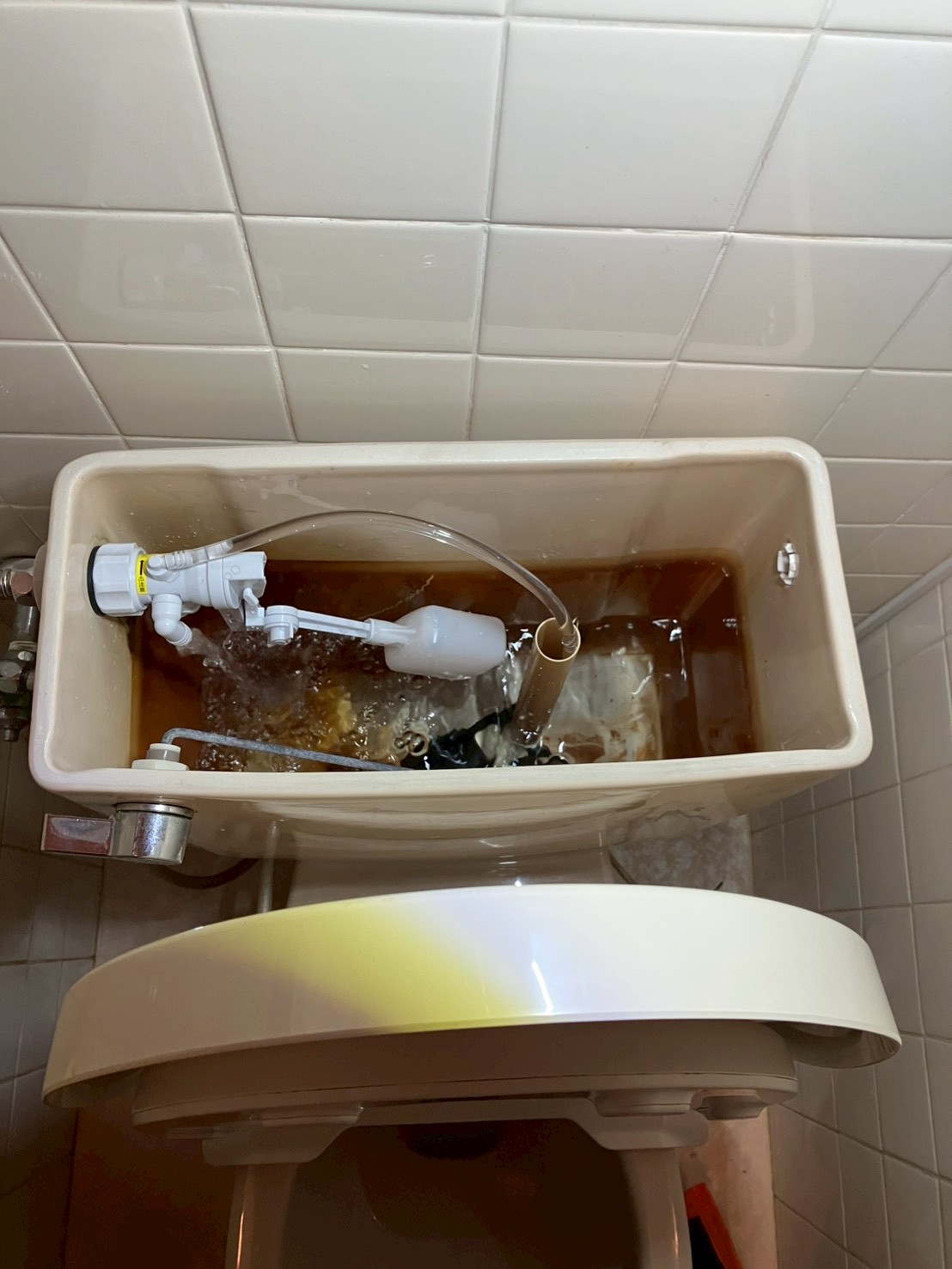 タンクを便器に再設置して通水中。新しいボールタップから給水されタンク内の水が清浄化されていく様子