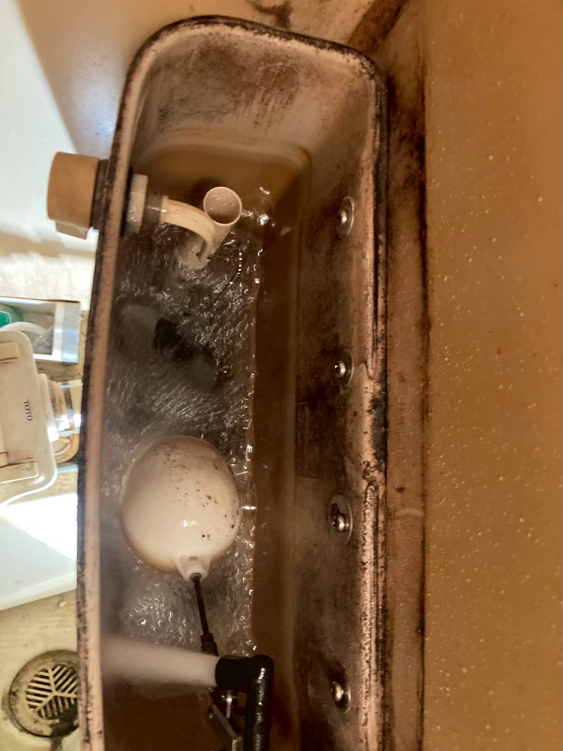 タンク内に新しいサイフォン管とボールタップを取り付けて給水中の状態